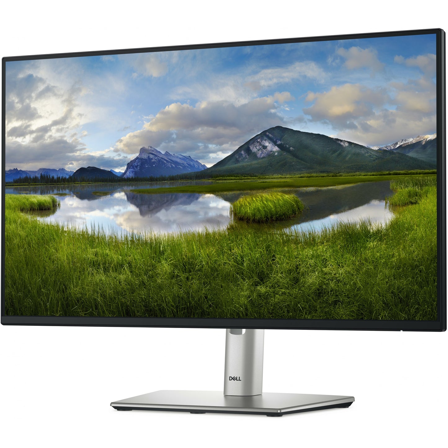 DELL P Series P2425H computer monitor - Sanden-Store