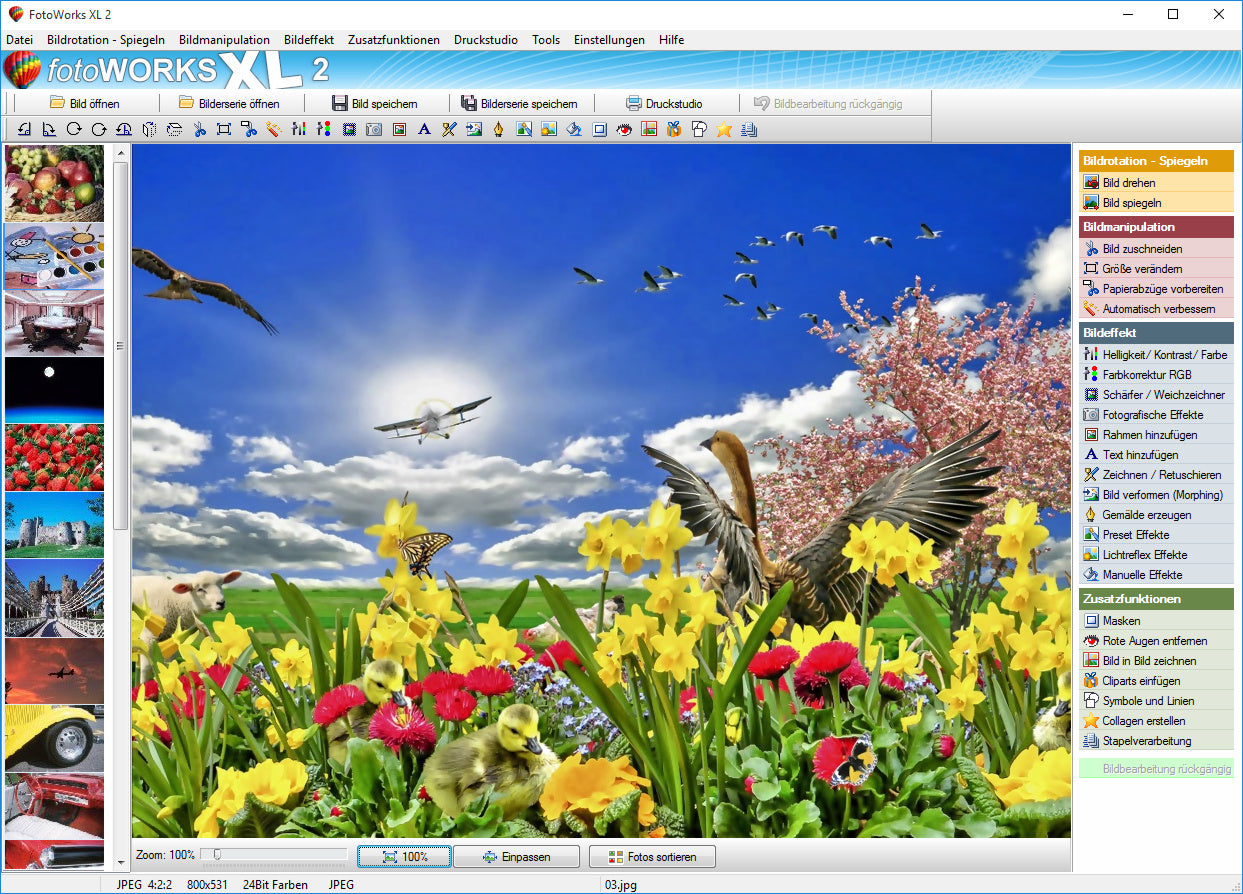 Fotoworks XL - Download-Version - Sanden-Store