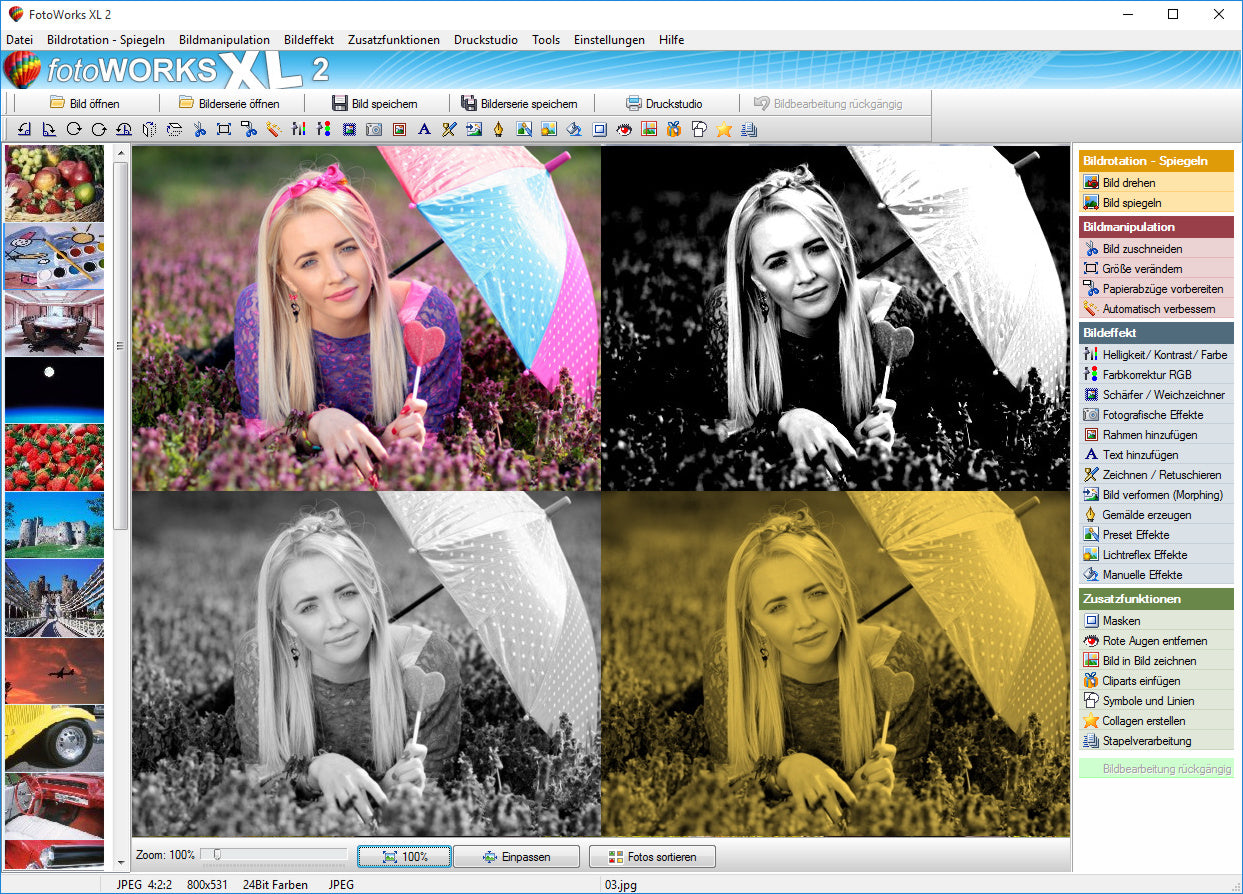 Fotoworks XL - Download-Version - Sanden-Store