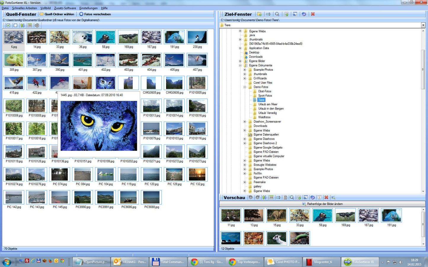 Fotosortierer XL - Download-Version - Sanden-Store