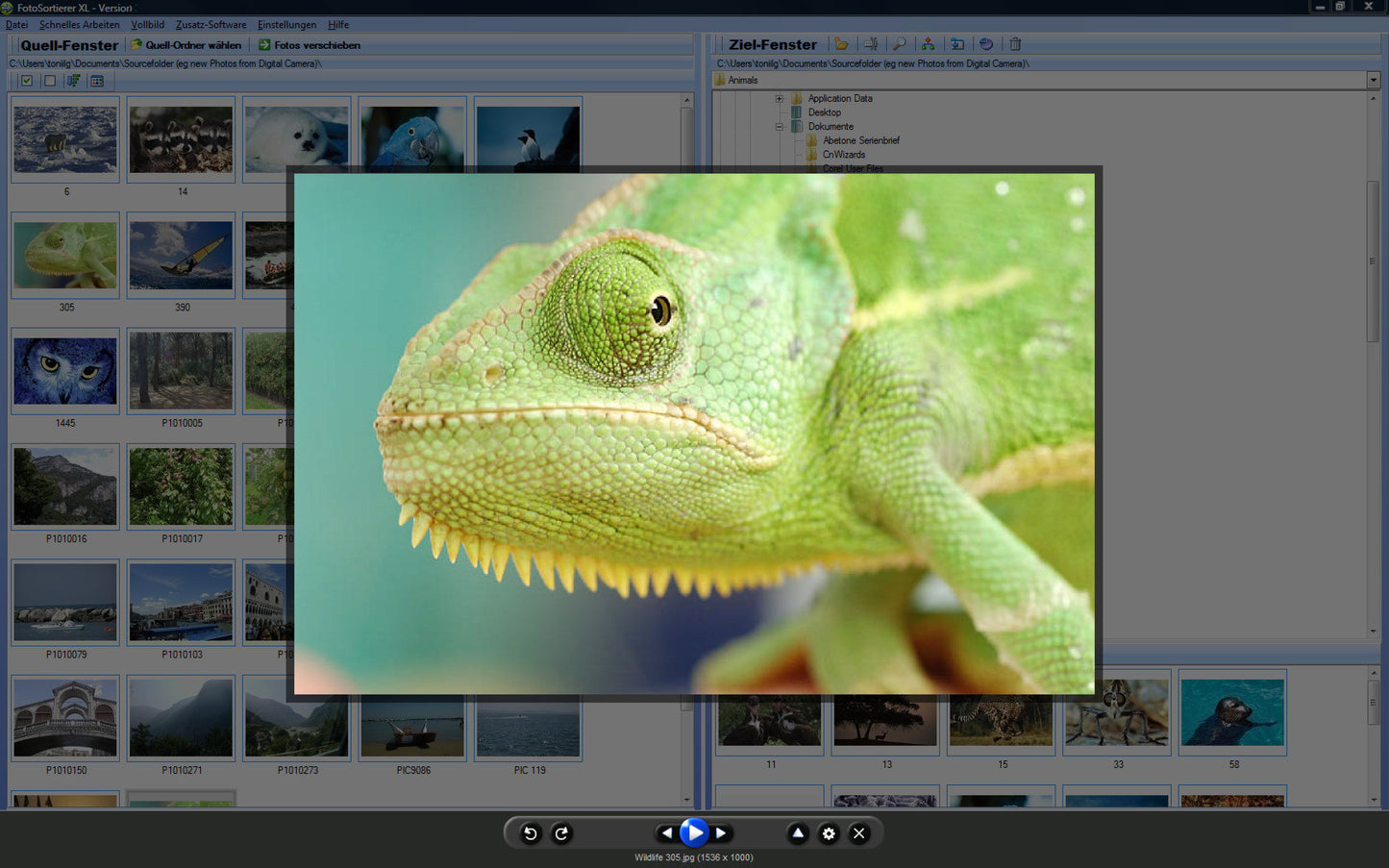 Fotosortierer XL - Download-Version - Sanden-Store