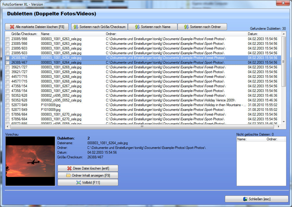 Fotosortierer XL - Download-Version - Sanden-Store