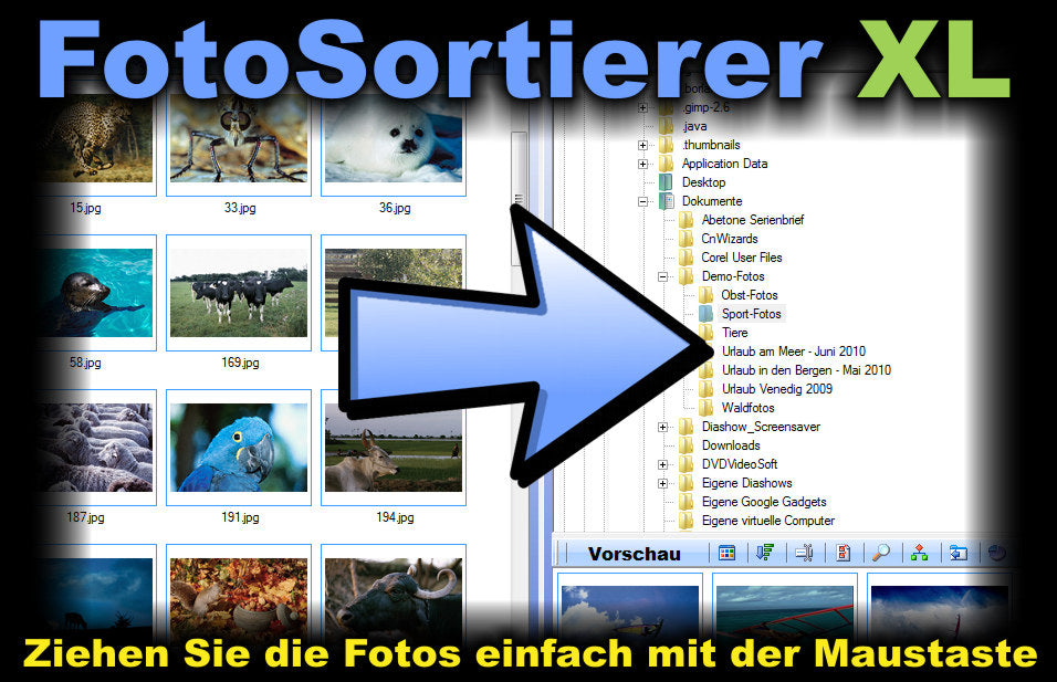 Fotosortierer XL - Download-Version - Sanden-Store